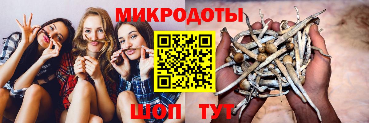 Псилоцибиновые грибы прущие грибы Краснотурьинск